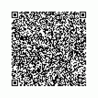 vCard 78793258300