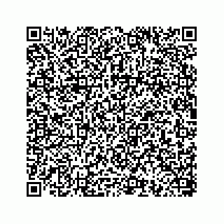 vCard 78793258311