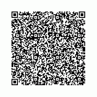 vCard 78793258312