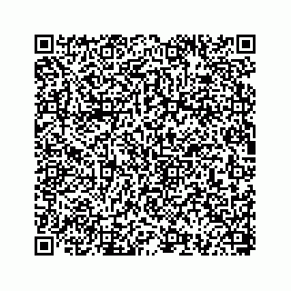 vCard 78793258313