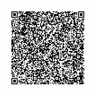 vCard 78793258317