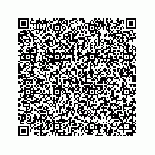 vCard 78793258329