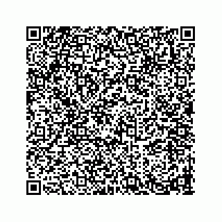 vCard 78793258331