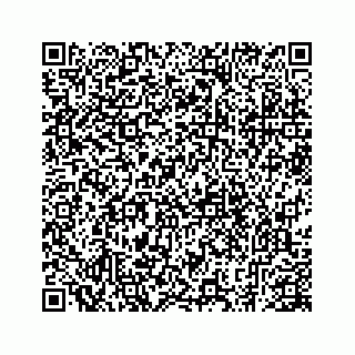 vCard 78793258339