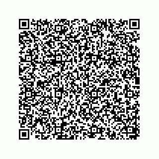 vCard 78793258341