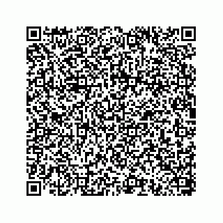 vCard 78793258351
