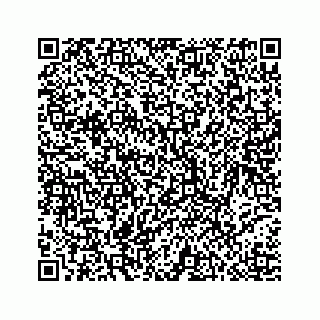 vCard 78793258368