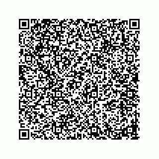 vCard 78793258376