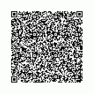 vCard 78793258380