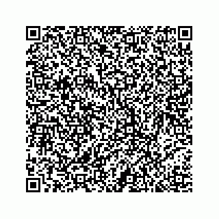 vCard 78793258381