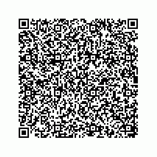 vCard 78793258385