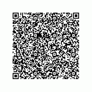vCard 78793307331