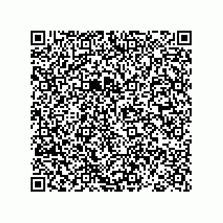 vCard 78793365540