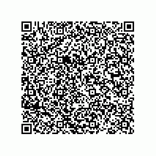 vCard 78793365541