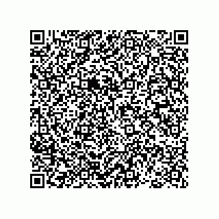 vCard 78793365711