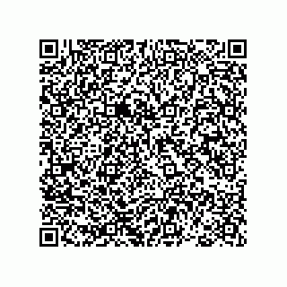 vCard 78793365713