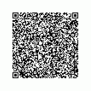 vCard 78793365728