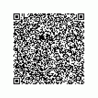 vCard 78793365729