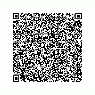 vCard 78793365731