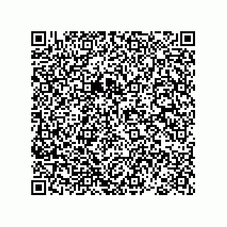 vCard 78793365735