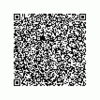 vCard 78793365745