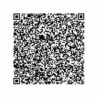 vCard 78793365803