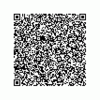 vCard 78793365806