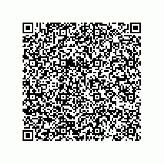 vCard 78793365810