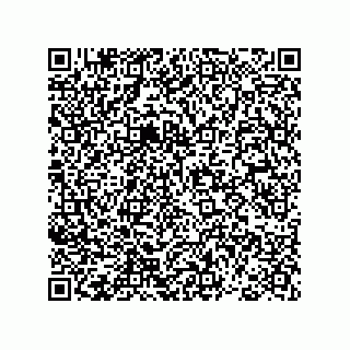 vCard 78793365811