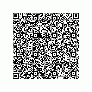 vCard 78793365813