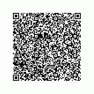 vCard 78793365815
