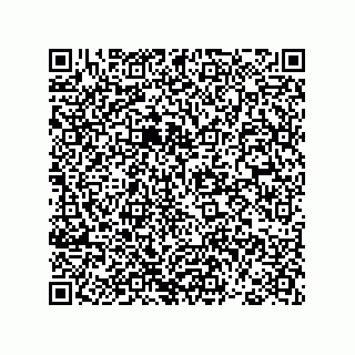 vCard 78793365821