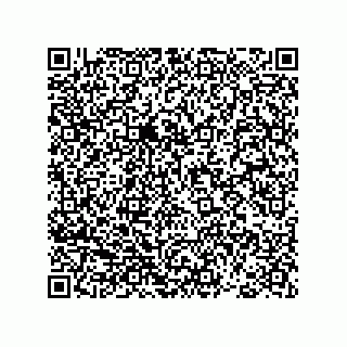 vCard 78793365833