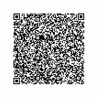 vCard 78793365838