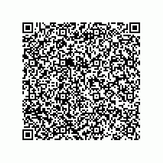 vCard 78793365839