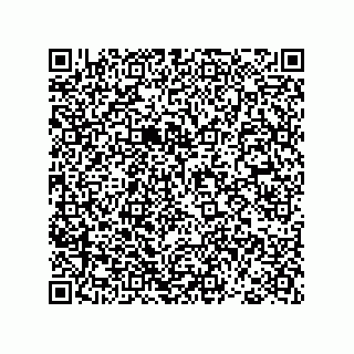 vCard 78793365871
