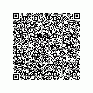 vCard 78793365874