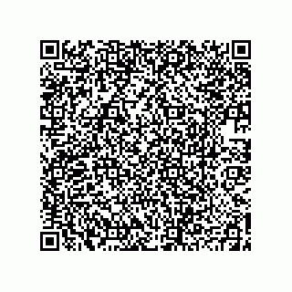vCard 78793365875