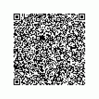 vCard 78793365881