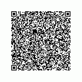 vCard 78793365887