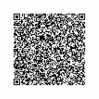 vCard 78793365895