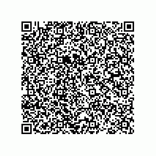 vCard 78793366031