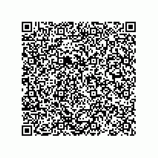 vCard 78793366041