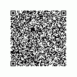 vCard 78793366070