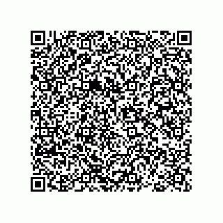vCard 78793366113