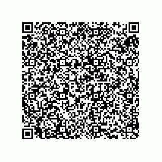 vCard 78793366133