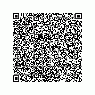 vCard 78793366209