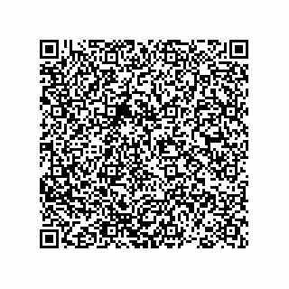 vCard 78793366241