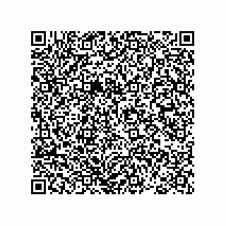 vCard 78793366291