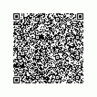 vCard 78793366293